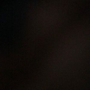 Meet your Posher, Julianna